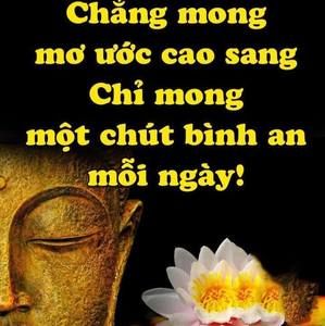 Meet your Posher, Hồng